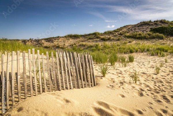 Fototapeta Amagansett