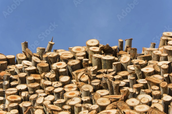 Fototapeta leña