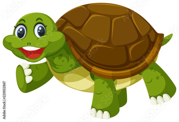 Fototapeta A turtle on white background