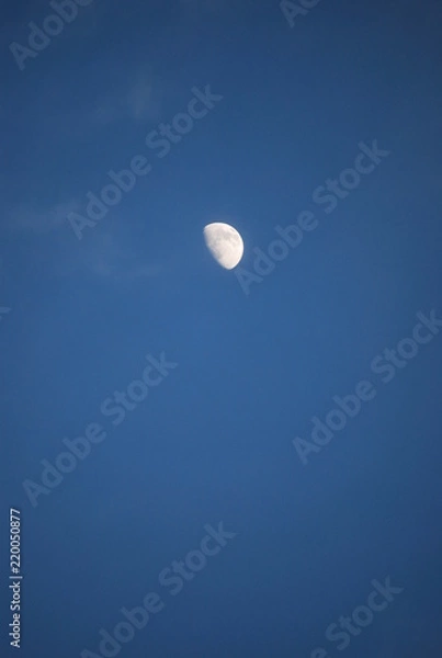 Obraz Texas Moon in Blue Sky