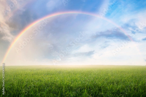 Obraz Tęcza z łąką.