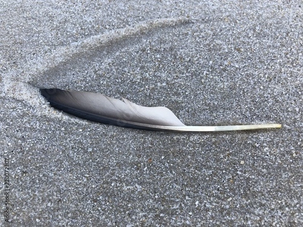 Obraz Spiel der Gezeiten