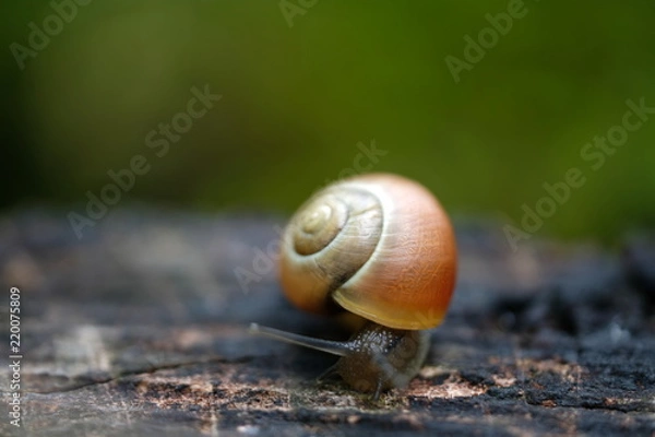 Obraz Wechsel der Perspektive