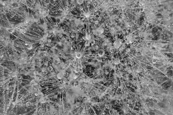 Obraz Nach dem Regen