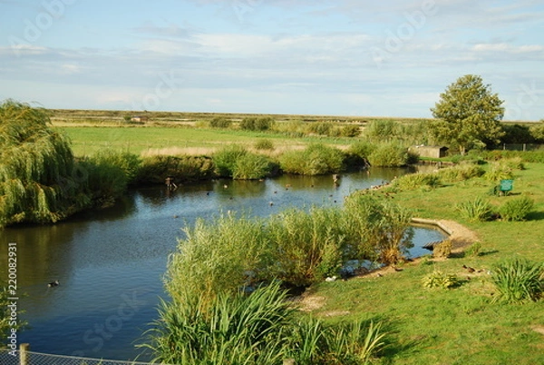 Obraz Stratford-up-on-Avon