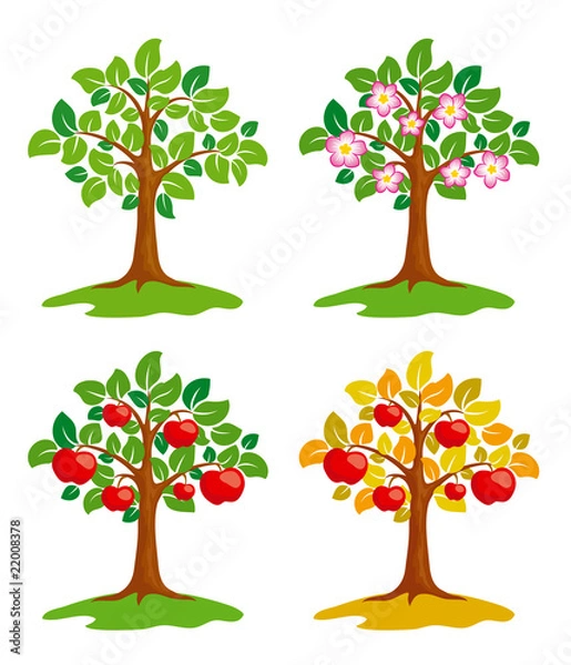 Obraz Apple-tree at different seasons