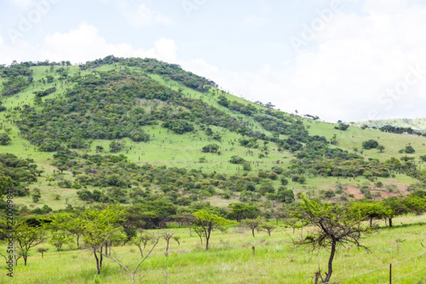 Fototapeta The hills and mountainous terrain on the The R69 from Pongola to Vryheid, KZN, South Africa