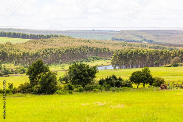 Fototapeta The hills and mountainous terrain on the The R69 from Pongola to Vryheid, KZN, South Africa