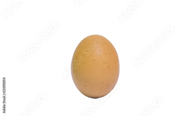 Fototapeta brown egg on white background