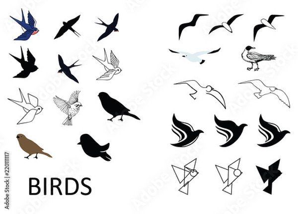 Obraz Set of vector birds