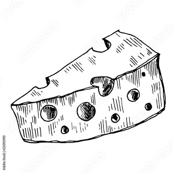 Fototapeta hand drawn illustration of piece of cheese 