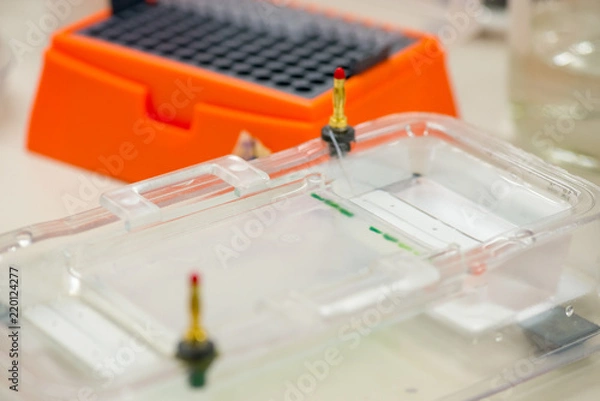 Fototapeta Gel electrophoresis chamber with agarose slab and DNA samples from a cancer patient for analysis by using RFLP. Pipette tip boxes in background. Shallow focus. Science and biotechnology.
