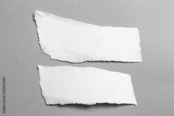 Fototapeta white torn paper on gray background. collection paper rip