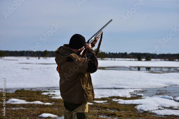 Fototapeta The hunter with the gun is aiming at the game. Spring Hunt