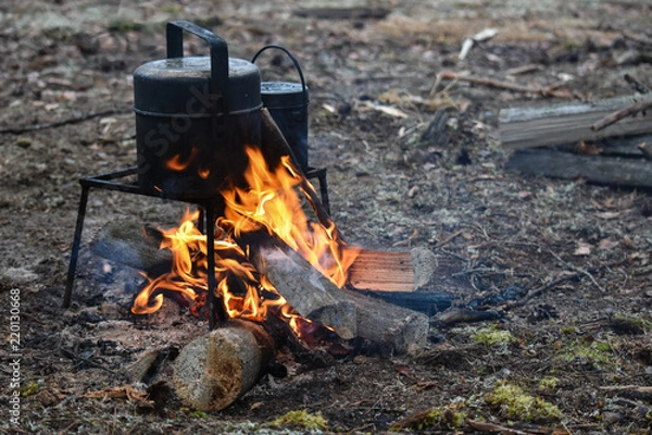 Fototapeta A rest on the nature. A bonfire, a bowler. Cooked at the stake