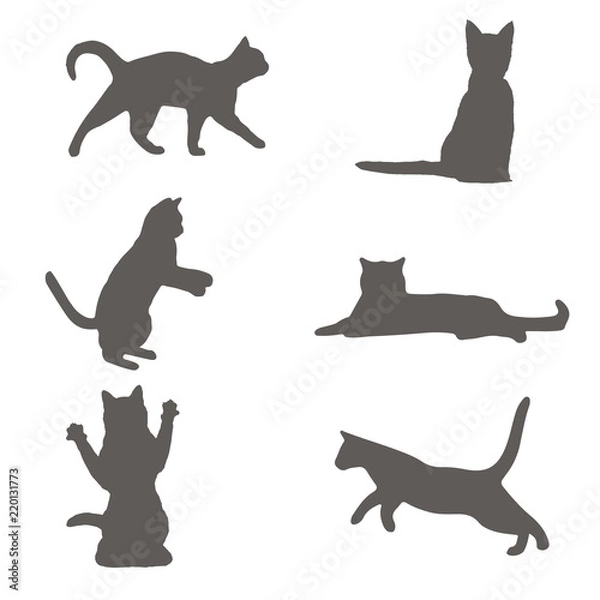 Obraz Set of gray cat silhouette. cat sitting, walking, playing, different cats vector