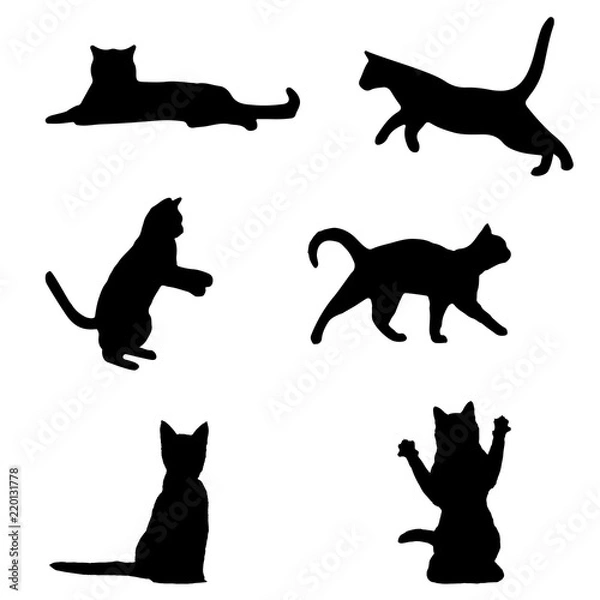 Obraz Set of black cat silhouette. cat sitting, walking, playing, different cats vector