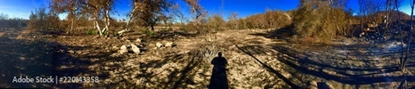 Fototapeta Desert Scene