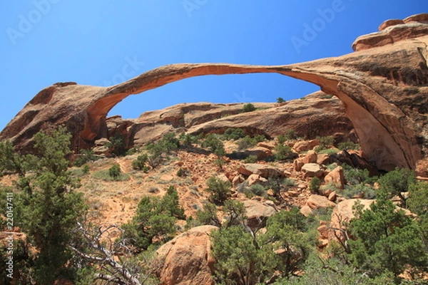Obraz Landscape Arch