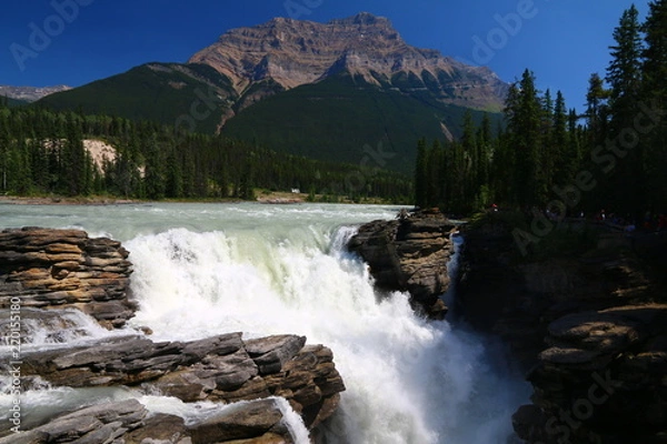 Obraz Chutes Athabasca