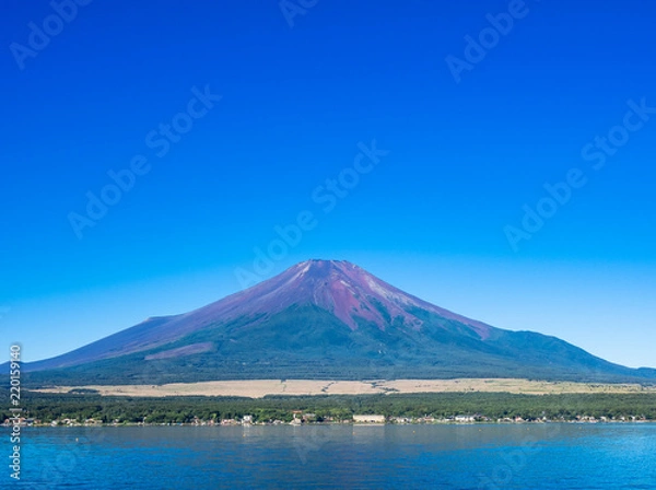 Fototapeta 山中湖畔から眺める富士山