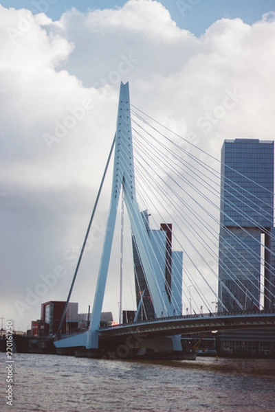 Obraz Erasmus Bridge