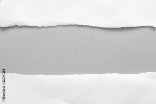 Fototapeta white torn paper on gray background. collection paper rip
