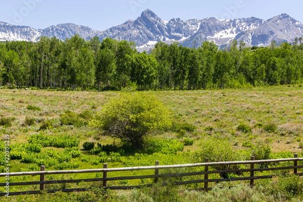 Obraz Dallas Divide Summer View