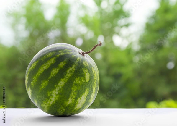 Obraz against a background of green bokeh trees on a dark table is a round watermelon with a tail