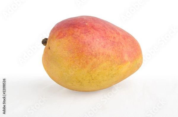 Fototapeta mango on white background