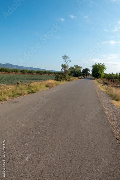 Fototapeta The road of the via augusta under the blue sky, castellon