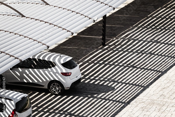 Obraz białe, czyste samochody na parkingu w słoneczny letni dzień są w cieniu padającego baldachimu