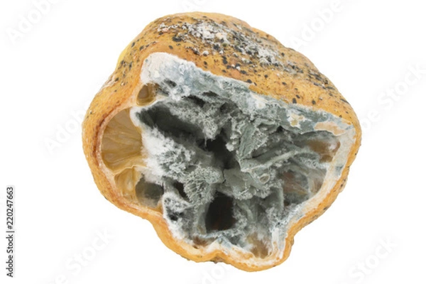 Fototapeta citron moisi