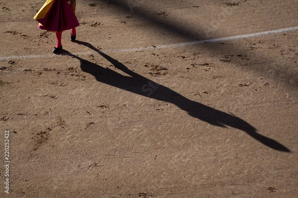 Fototapeta Evening of bulls in Spain