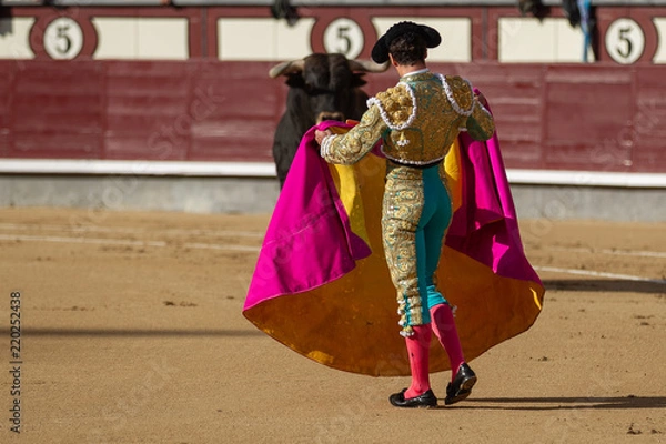 Fototapeta Bullfighter in front of the bull