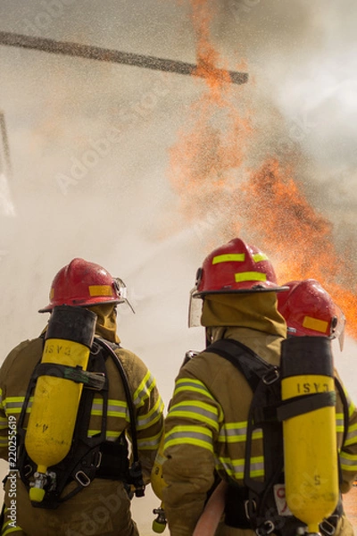 Obraz Some firemen fighting a great fire. Firefighters doing some training.