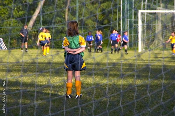 Obraz watching goalie