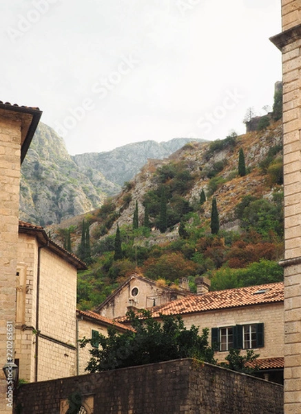 Fototapeta Kotor