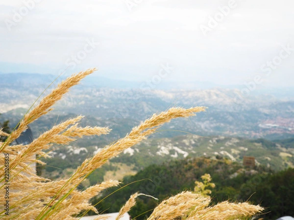Fototapeta Mountains and colossus