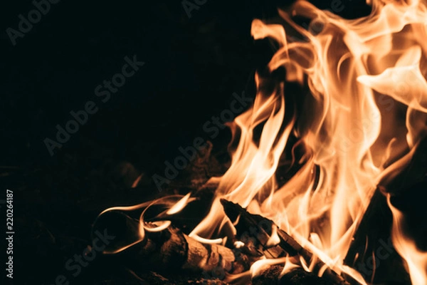 Fototapeta The fire