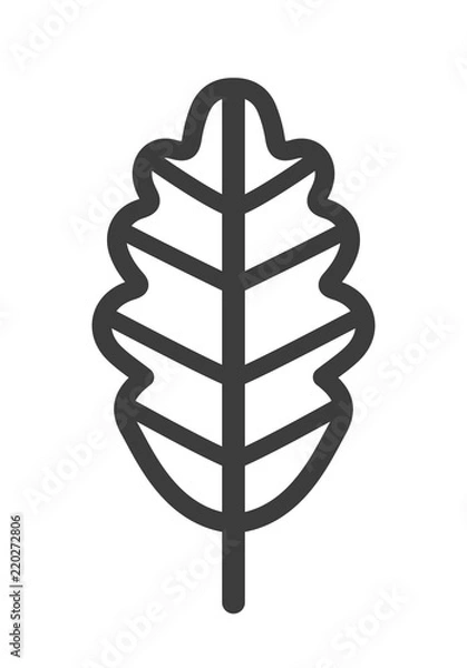 Fototapeta Leaf Icon Lines. Vector
