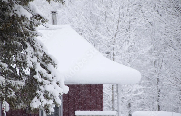 Obraz Snow Falling on Trees