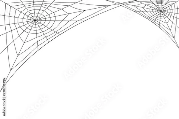 Fototapeta concentric white web on a white background