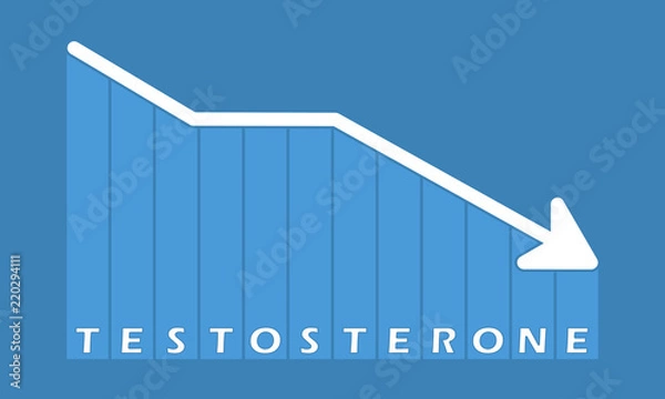 Fototapeta Testosterone - decreasing graph