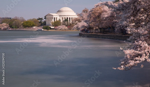 Obraz Washington DC Monuments Cherry Blossoms