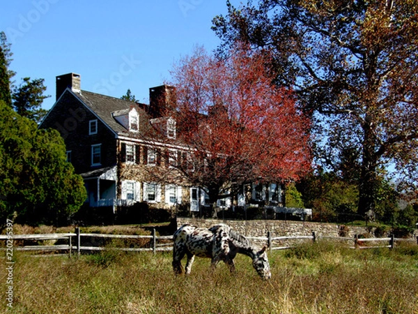 Obraz Pew Homestead 3