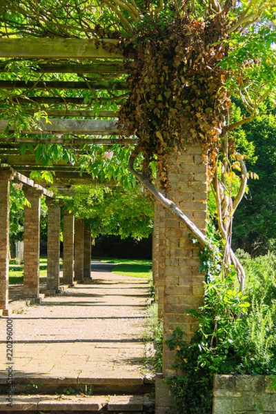 Fototapeta arches over park path with trees