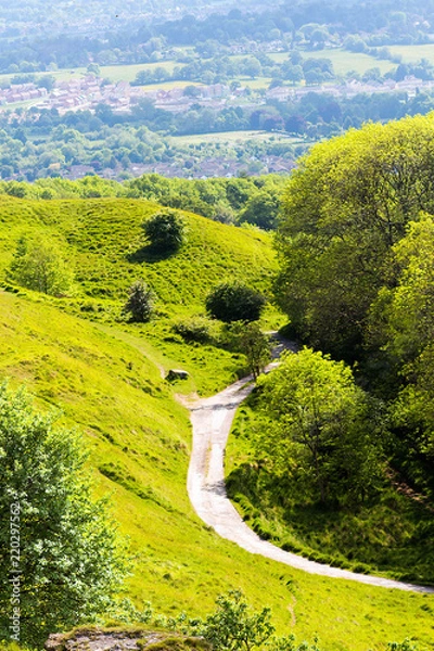 Obraz Winding path between a hill and a forest