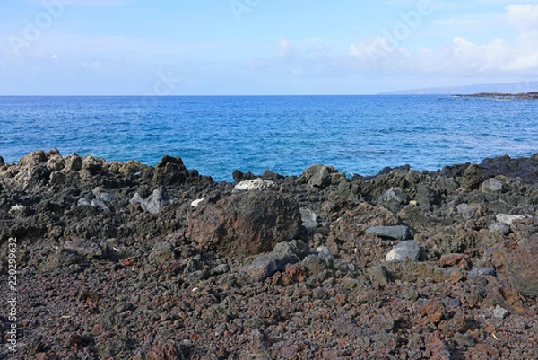 Obraz View of black lava rock and blue ocean at the Ahihi-Kinau Natural Area Reserve, on the West shore of Maui south of Wailea and Makena, Hawaii