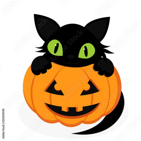 Obraz black cat with pumpkin